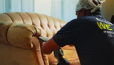 Sofa Cleaning